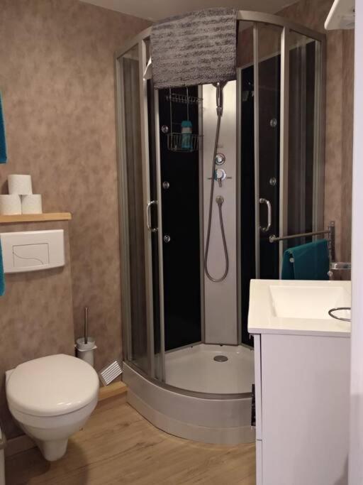 Appartement Centre Ville Rose Toulouse Eksteriør bilde