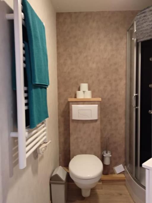 Appartement Centre Ville Rose Toulouse Eksteriør bilde